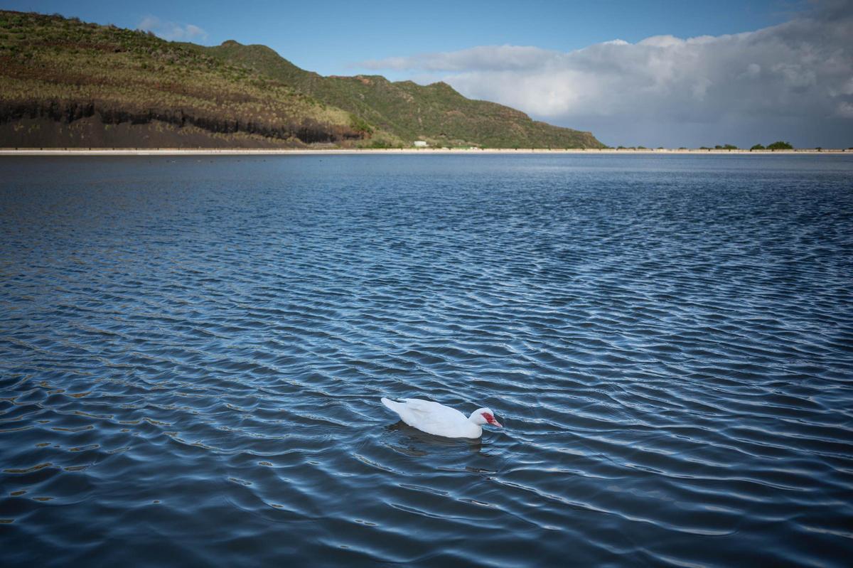 Cinco balsas se encuentran por encima del 80% de su capacidad