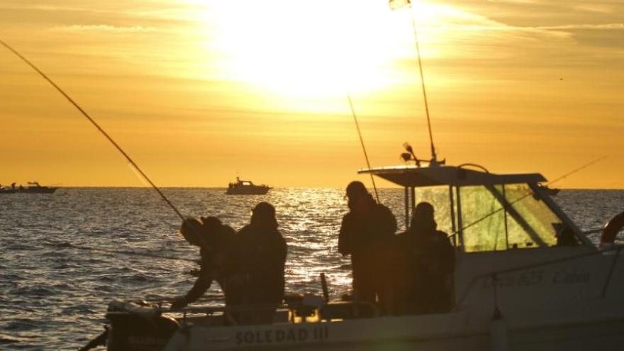 Imagen de una embarcación de pesca deportiva fondeada en aguas de Torrevieja