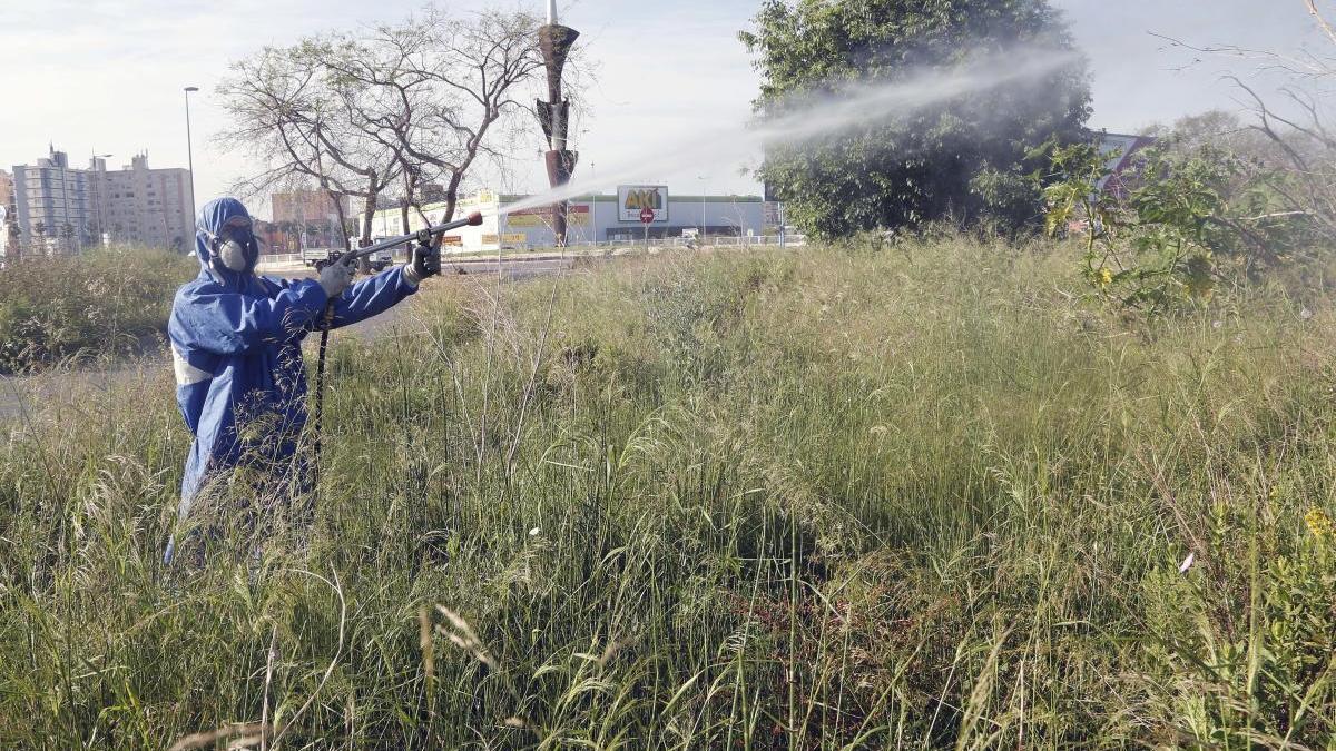 Tratamiento contra el mosquito.