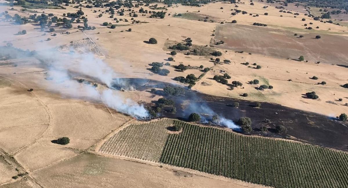 Vista aérea de los terrenos calcinados por el incendio forestal.