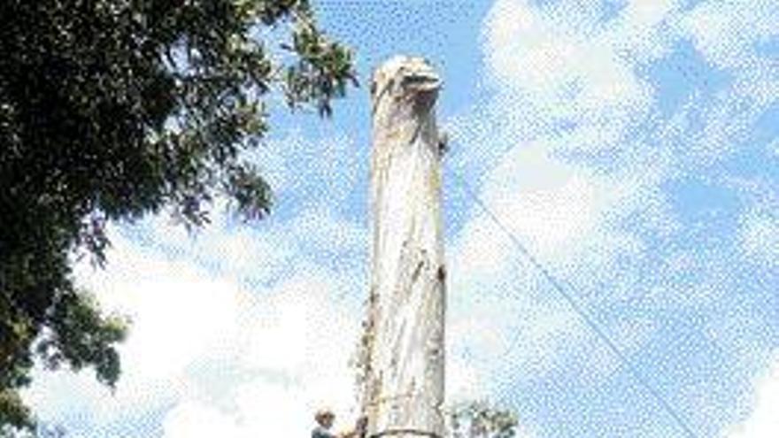 Trabajos de tala en un eucalipto cercano a la Virgen de A Rocha, en Baiona.