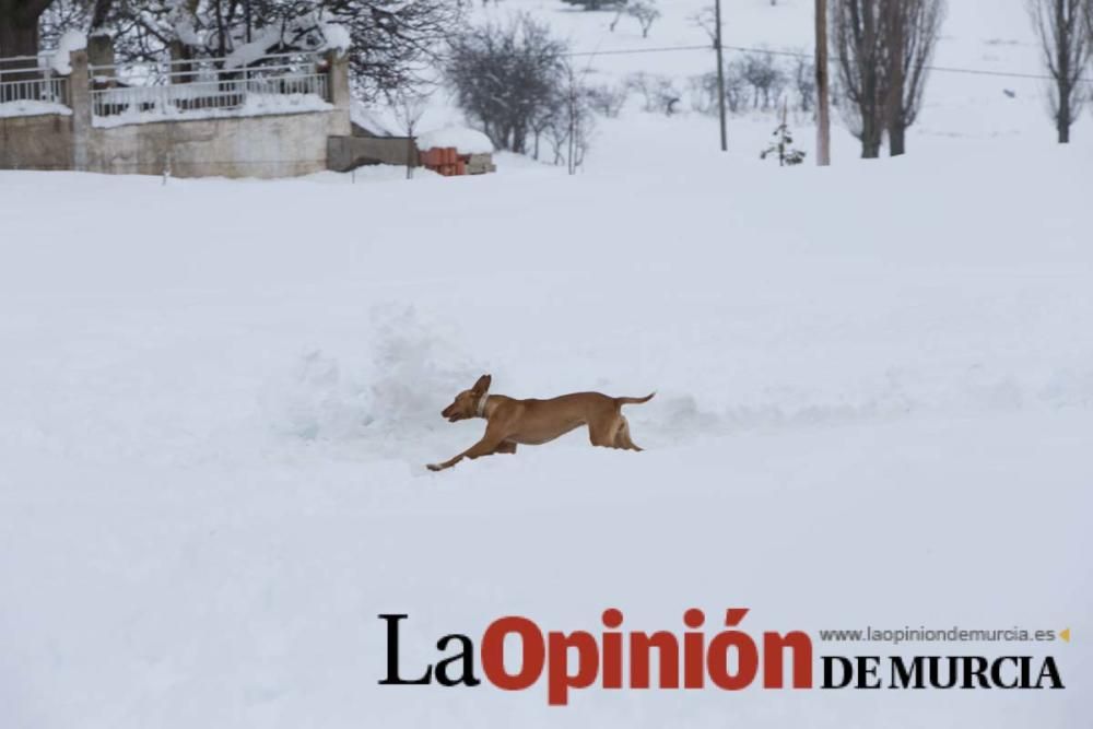 Así están viviendo los habitantes del Noroeste el