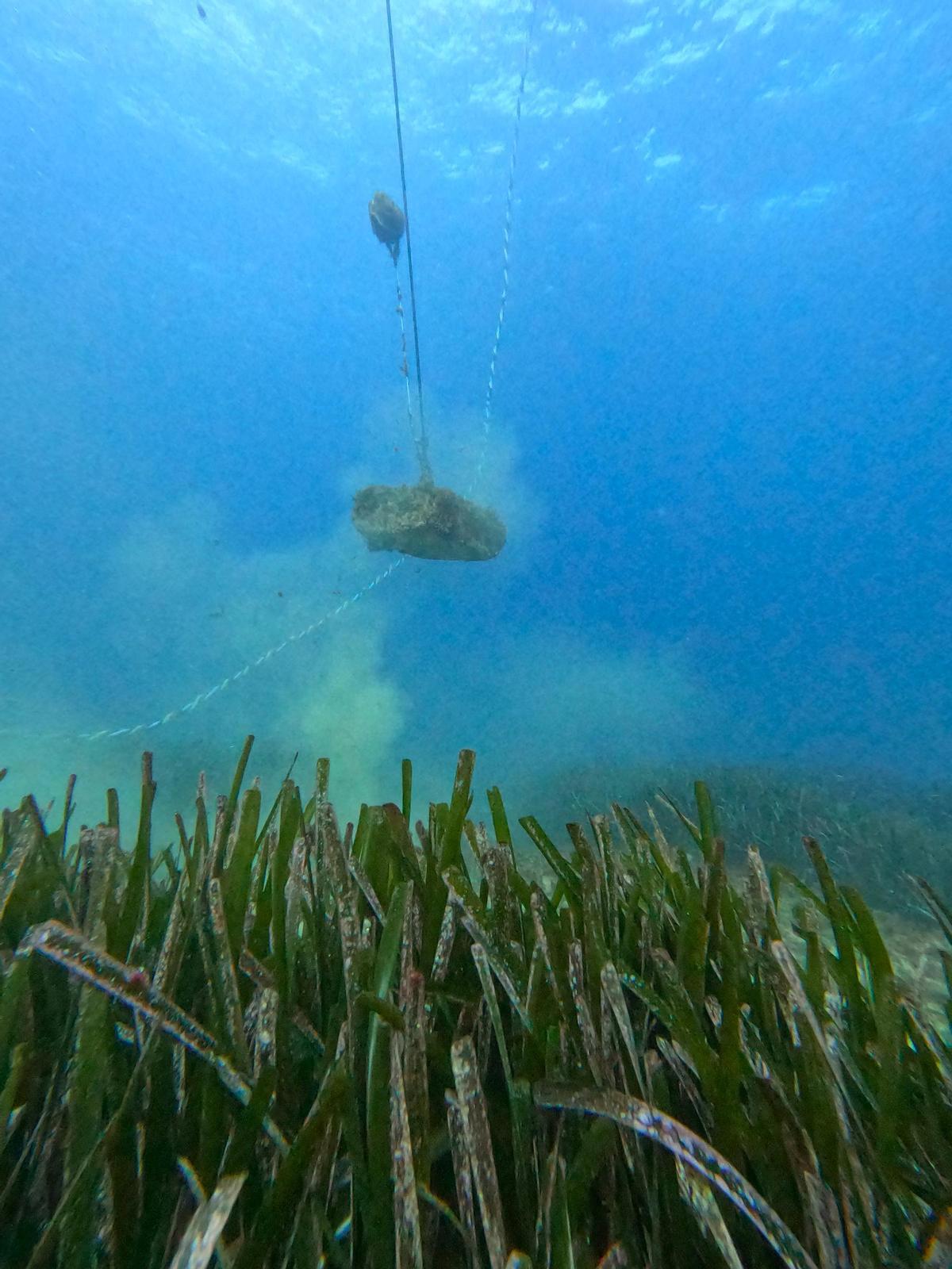 Retirada de residus al fons marí del massís de Cadiretes Retirada de residus al fons marí del massís de Cadiretes