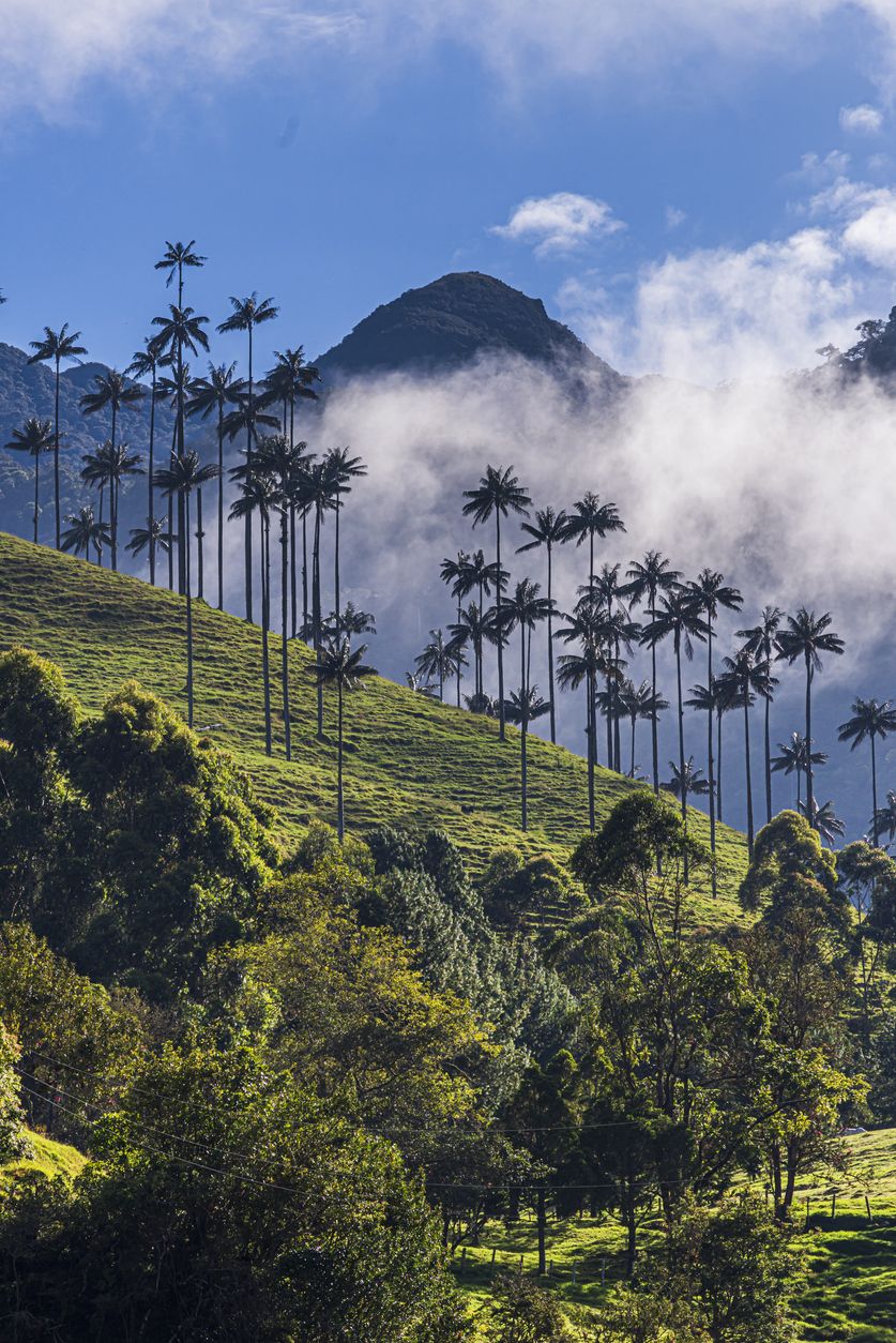Vista del Eje Cafetero de Colombia