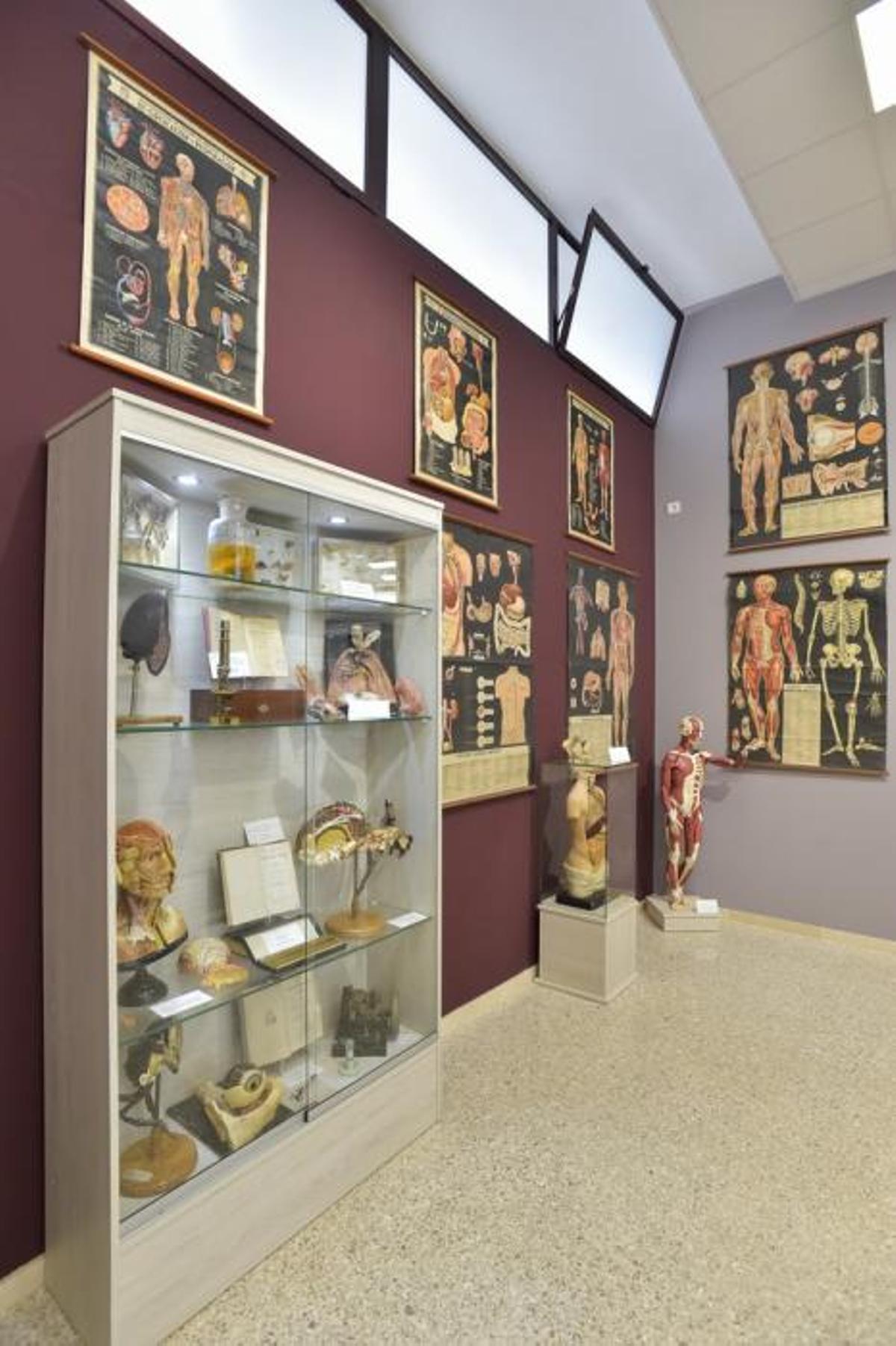 Inauguración del Aula Museo del IES Pérez Galdós