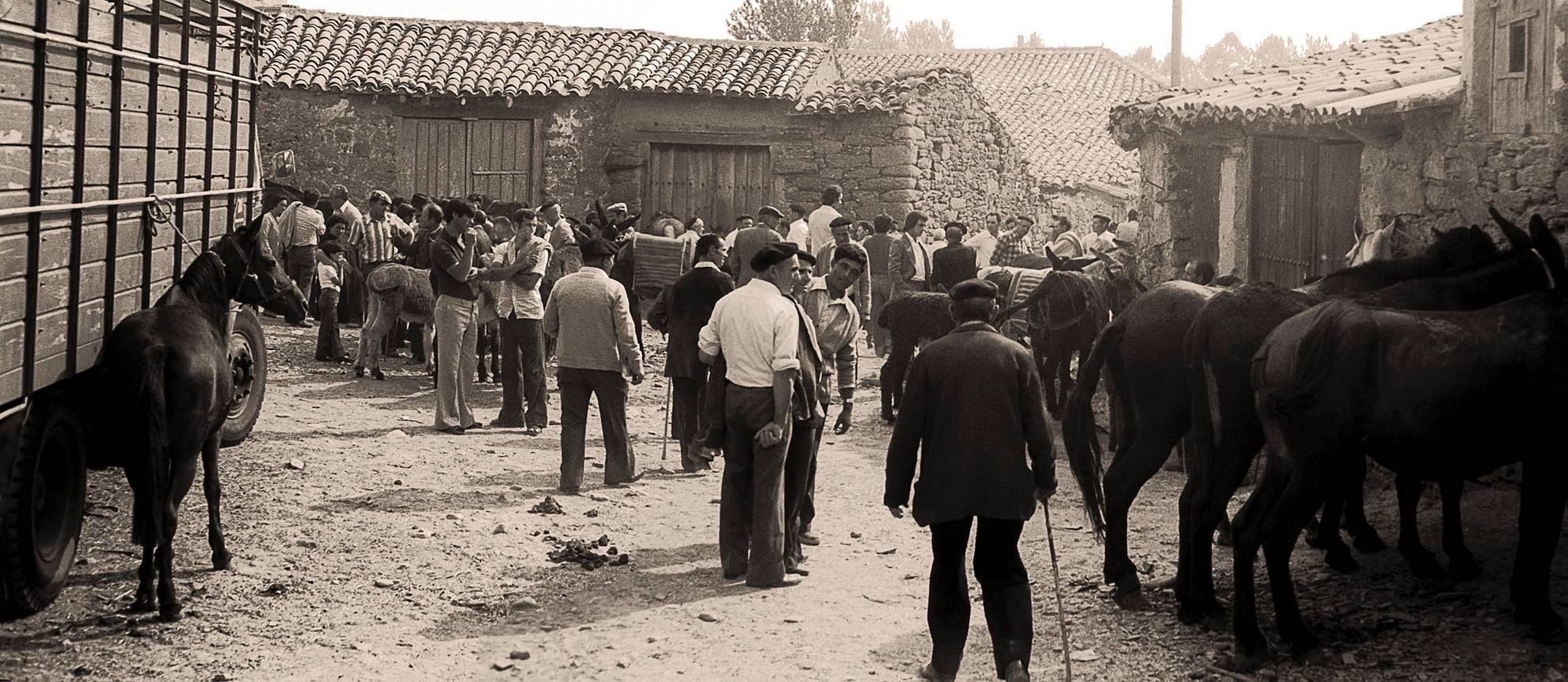 Feria de la Carballeda, Rionegro del Puente (Zamora). 1978..jpg