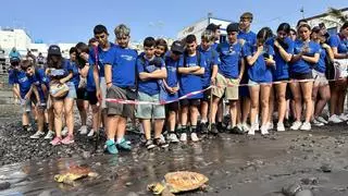 200 personas participan en una limpieza de la playa de Agaete organizada por Fred. Olsen Express