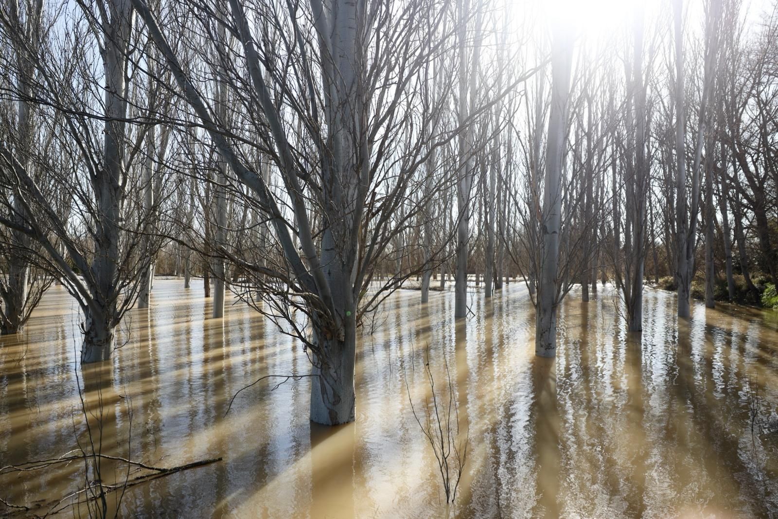 En imágenes | Así transcurre la crecida del Ebro a su paso por Aragón