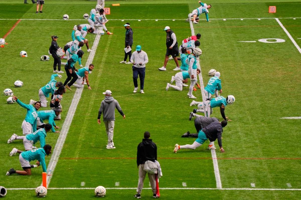 Los Dolphins, entrenándose en el Metropolitano