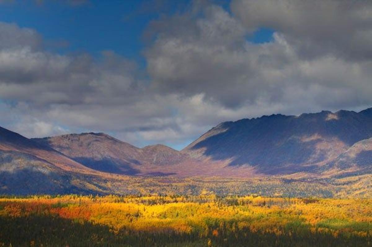 Parque nacional y reserva Wrangell-San Elías