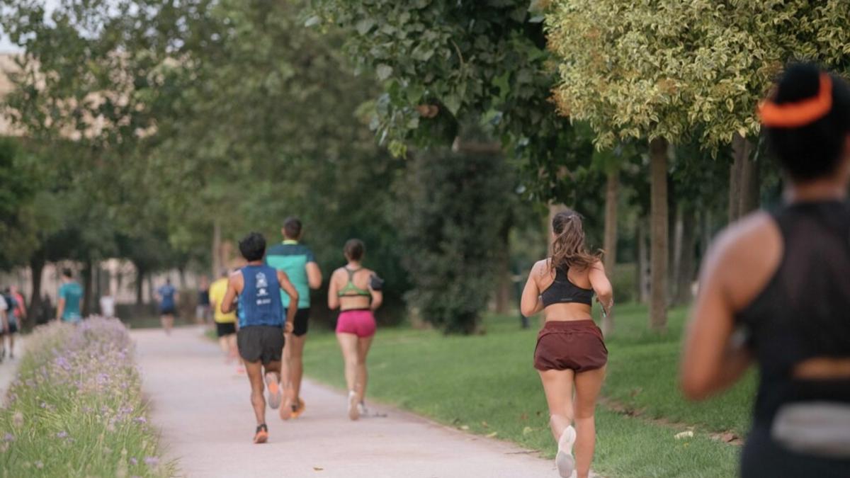 La pista del Turia la utilizan 800.000 personas al año