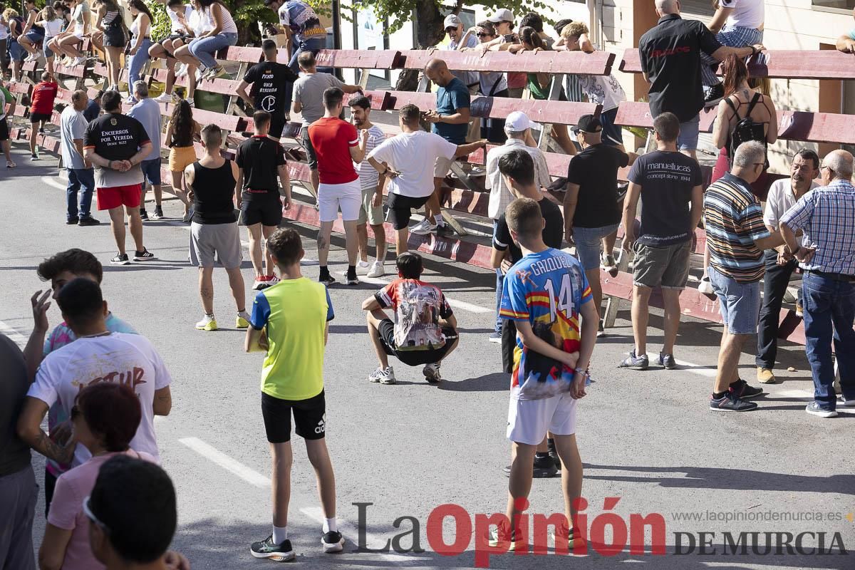 Séptimo encierro de las Fiestas de Moratalla