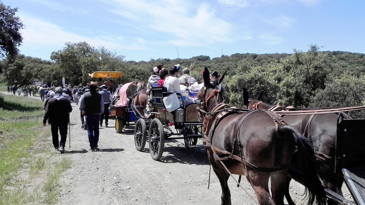 Popular camino a la pradera de Culebrín en una edición anterior de la romería