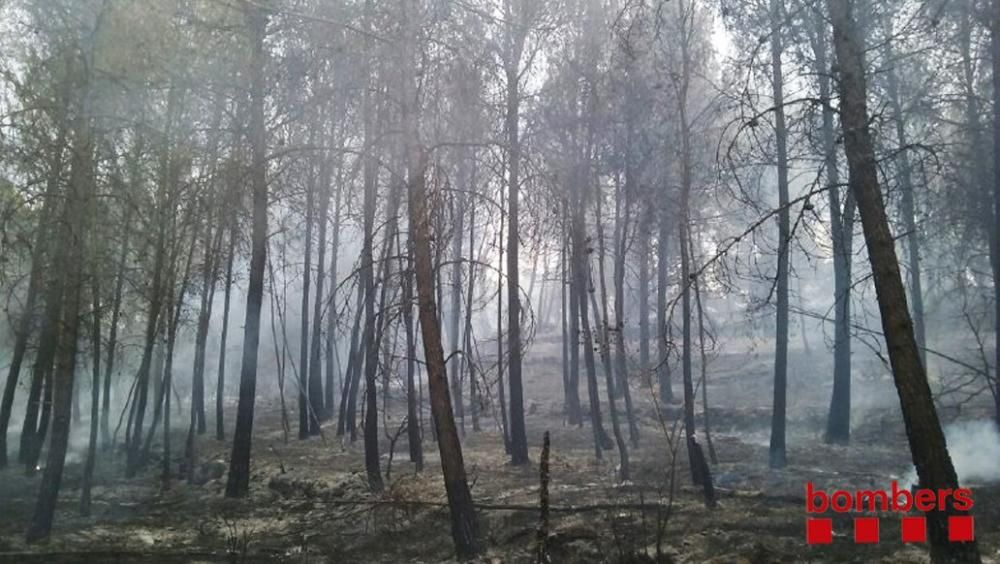 Segon incendi forestal a Artés