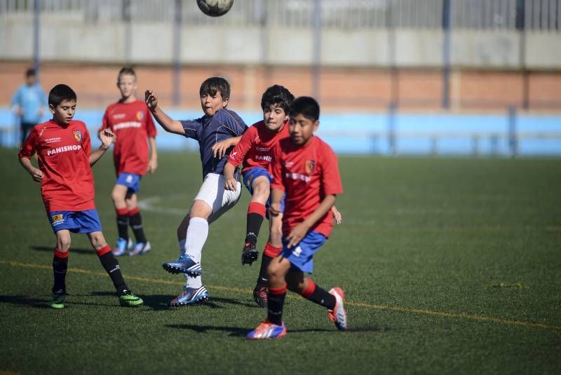 FÚTBOL: Montecarlo A - El Salvador A (2ª Alevín)