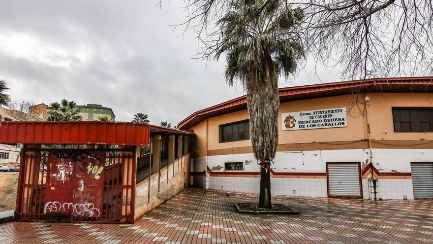 Galería | El Mercado Dehesa de los Caballos de Cáceres