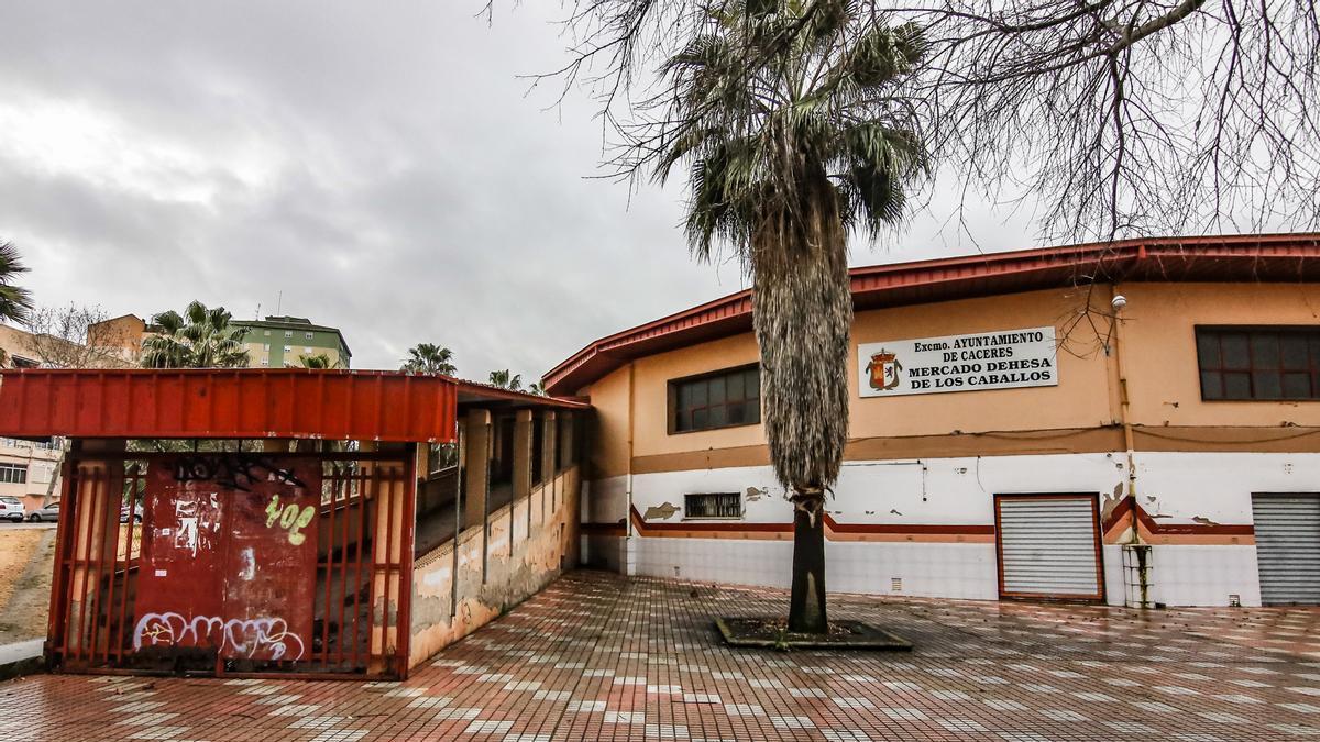 Galería | El Mercado Dehesa de los Caballos de Cáceres