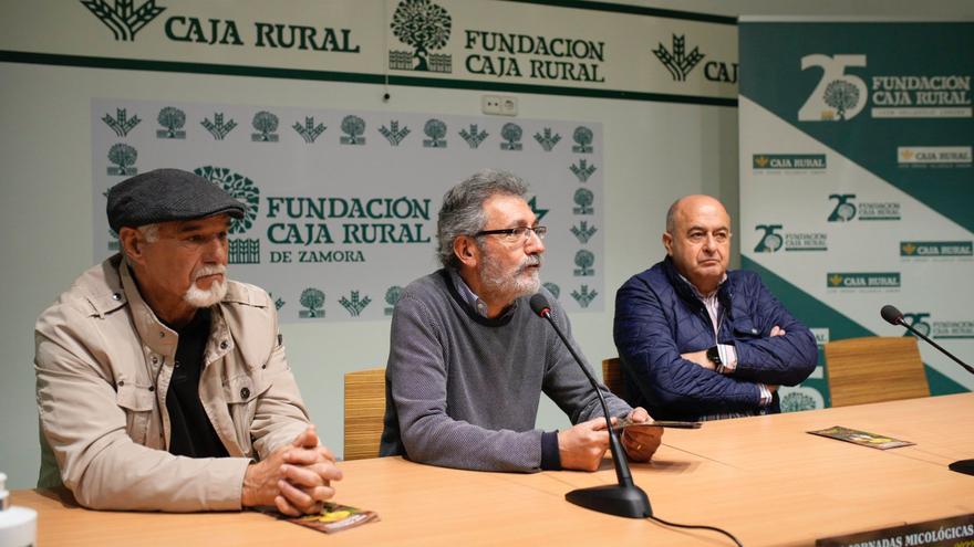 Malas previsiones para la temporada micológica del otoño