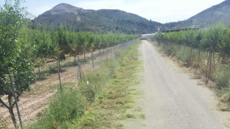 Tareas de desbroce en un camino rural de Aspe