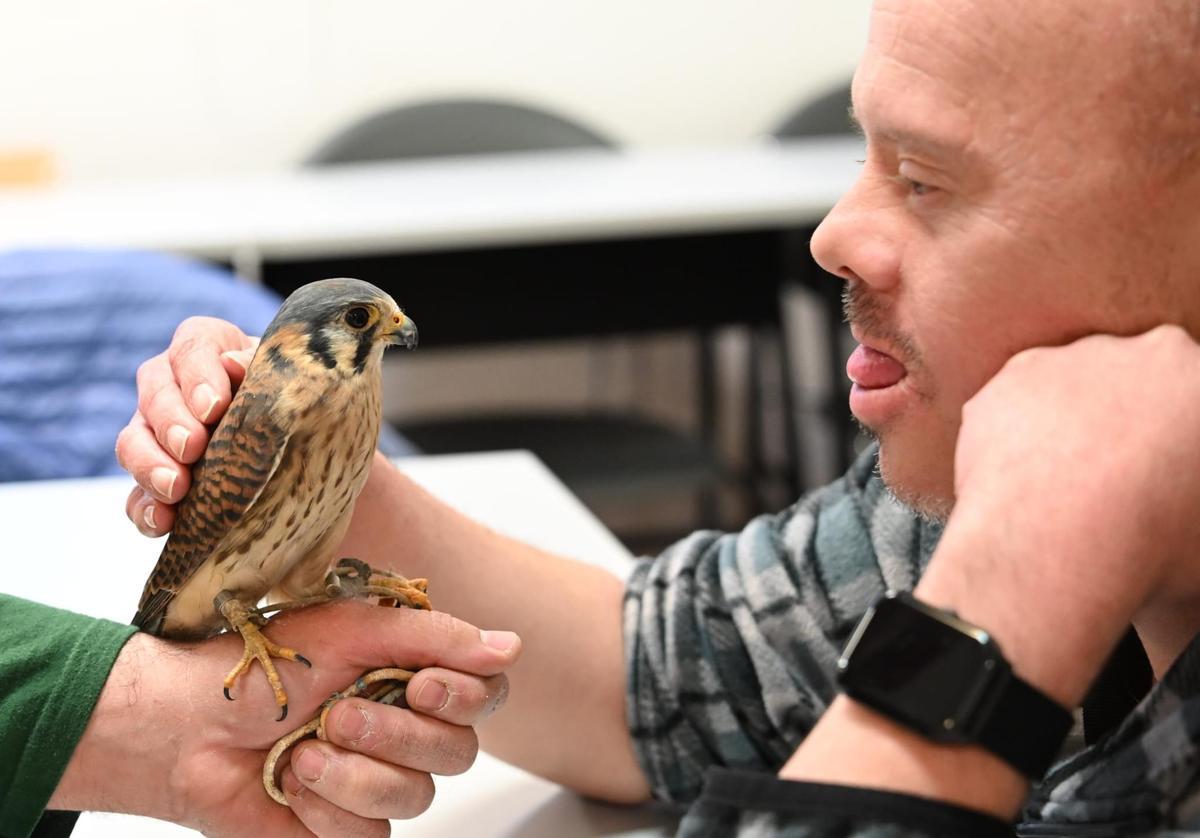 Terapia con aves rapaces para personas con diversidad funcional