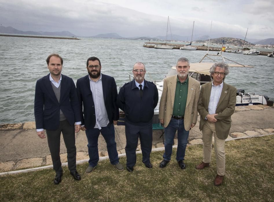 El proyecto de plantación de posidonia en Pollença alcanza el 60% de la superficie prevista