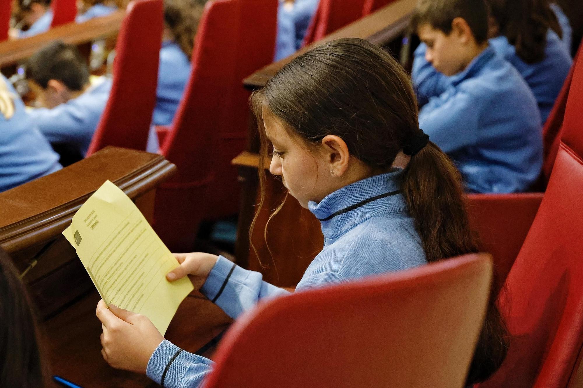 Escolares en el Parlamento de Canarias