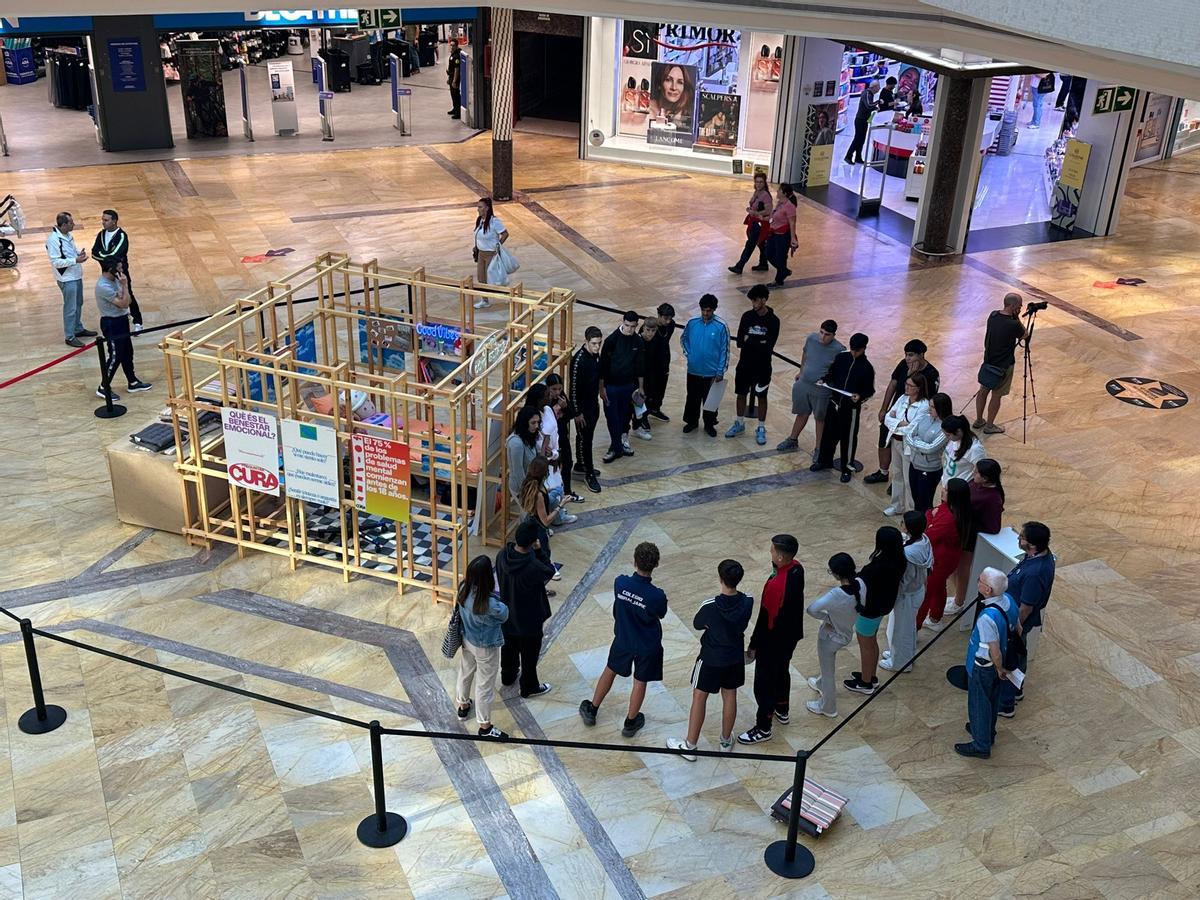 Imagen de la instalación en el Centro Comercial Rosaleda.
