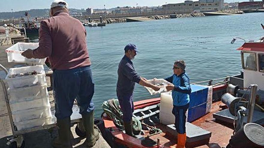 Un grupo de marineros descarga pescado en un puerto gallego.