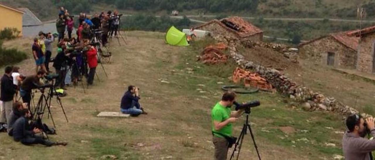 Turistas, ayer, avistando osos en La Peral.