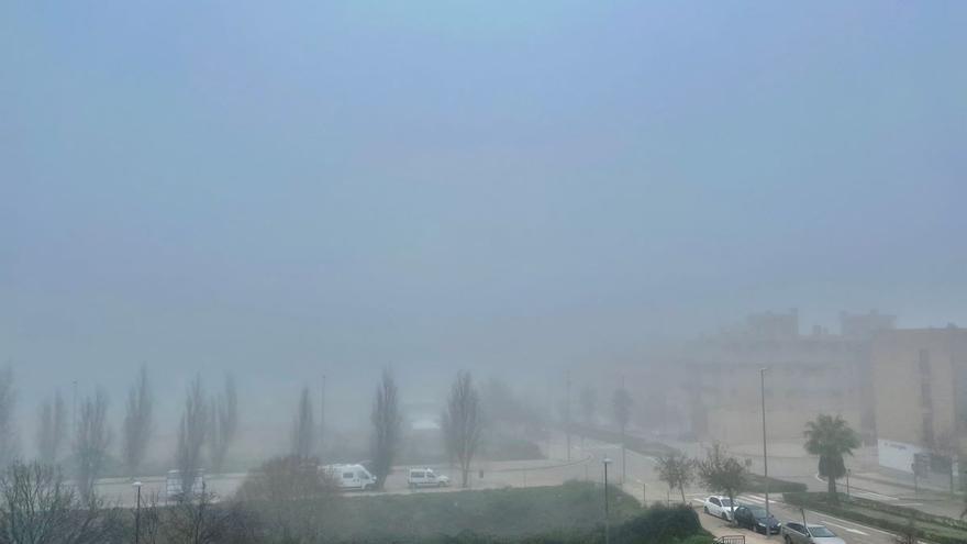 Extremadura amplía la alerta por niebla hasta el martes: la visibilidad será de 200 metros