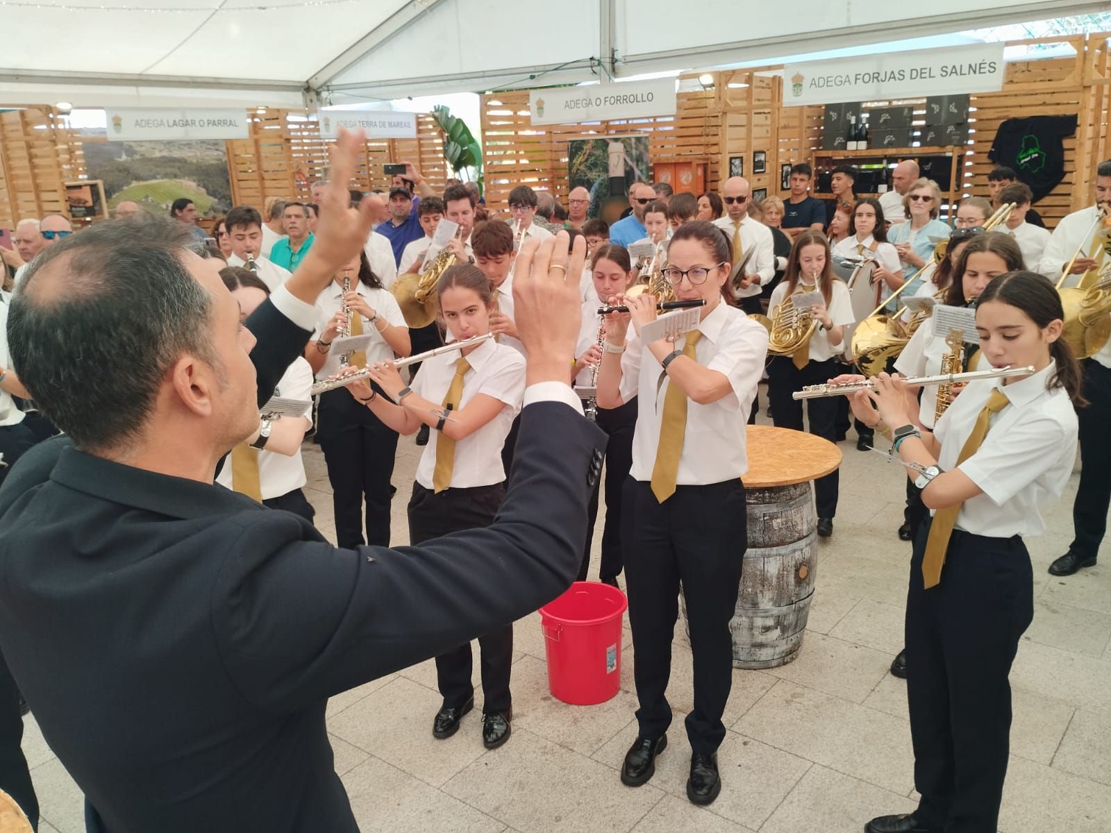 Asistentes a los actos de la Festa do Viño de Meaño.