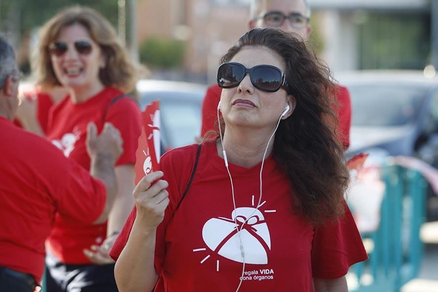 Fotogalería / Marcha del donante