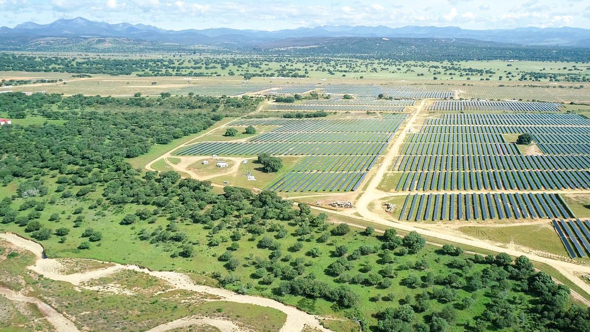 Parque fotovoltaico Valdesolar, de Repsol.