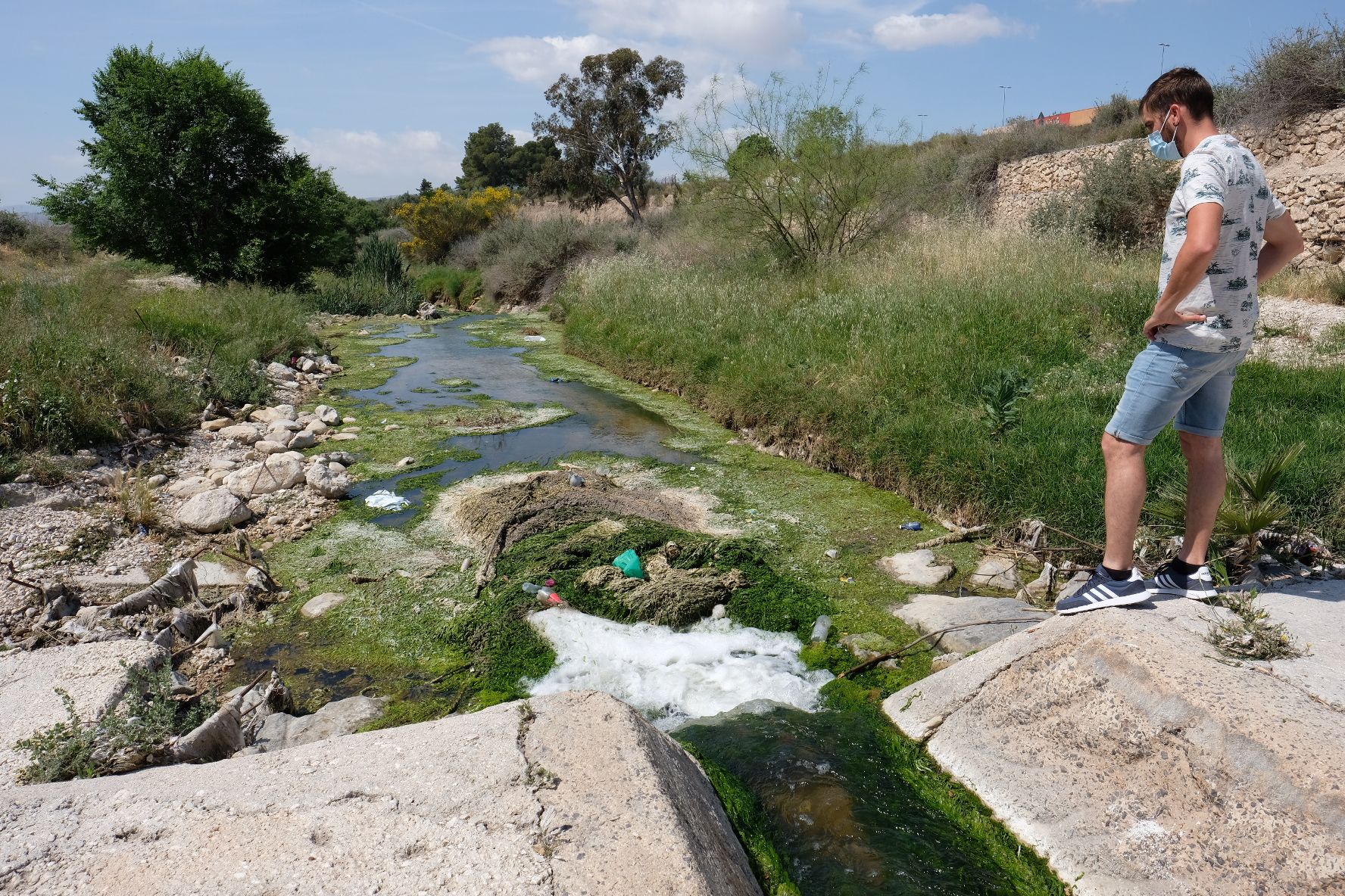 Así es el alga verde asociada a los vertidos fecales que inunda el Vinalopó