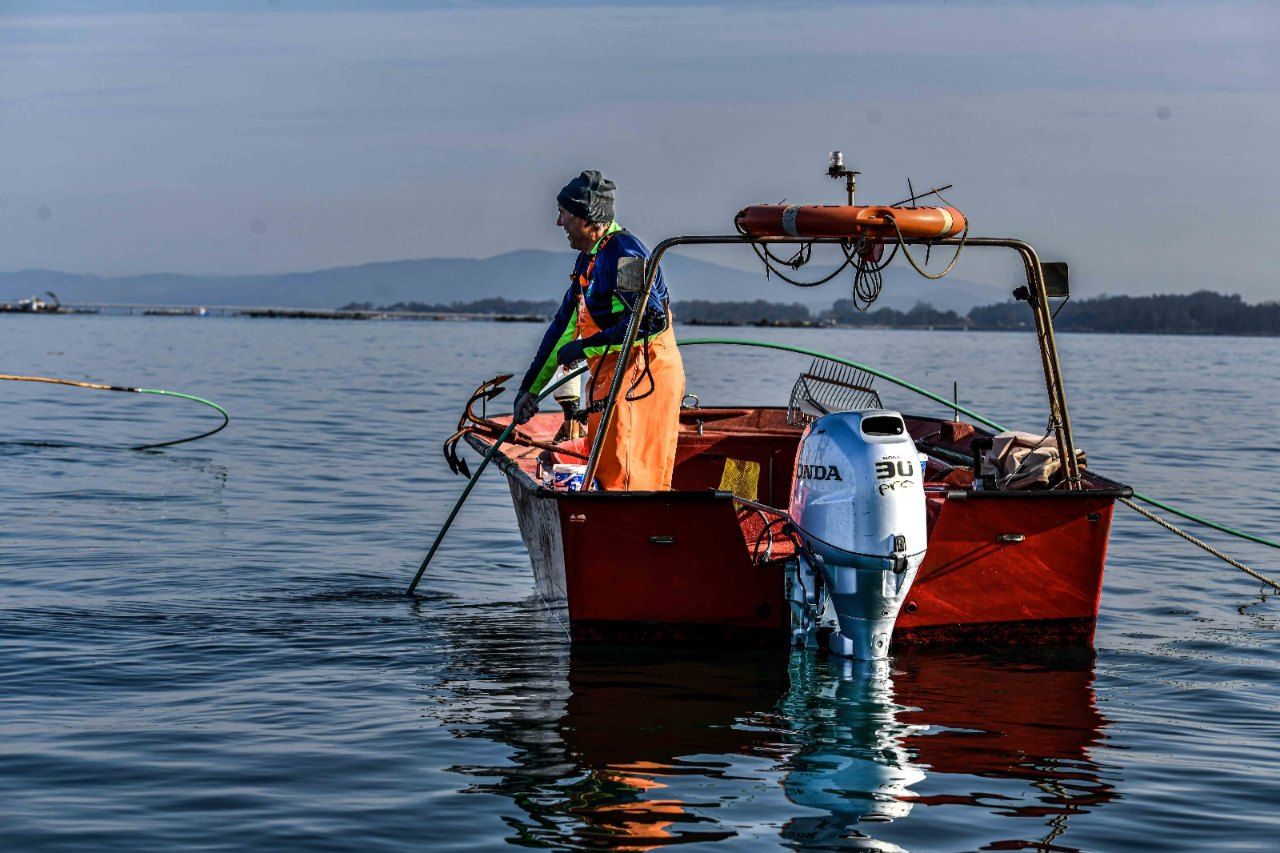 Mariscadores a flote (rañeiros) en el entorno de A Toxa (O Grove).