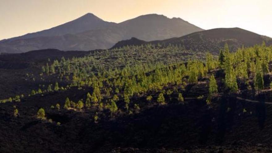 Panorámica del volcán Dorsal Noroeste.