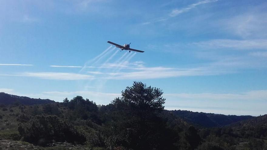 Una avioneta fumigant un bosc contra la processionària.