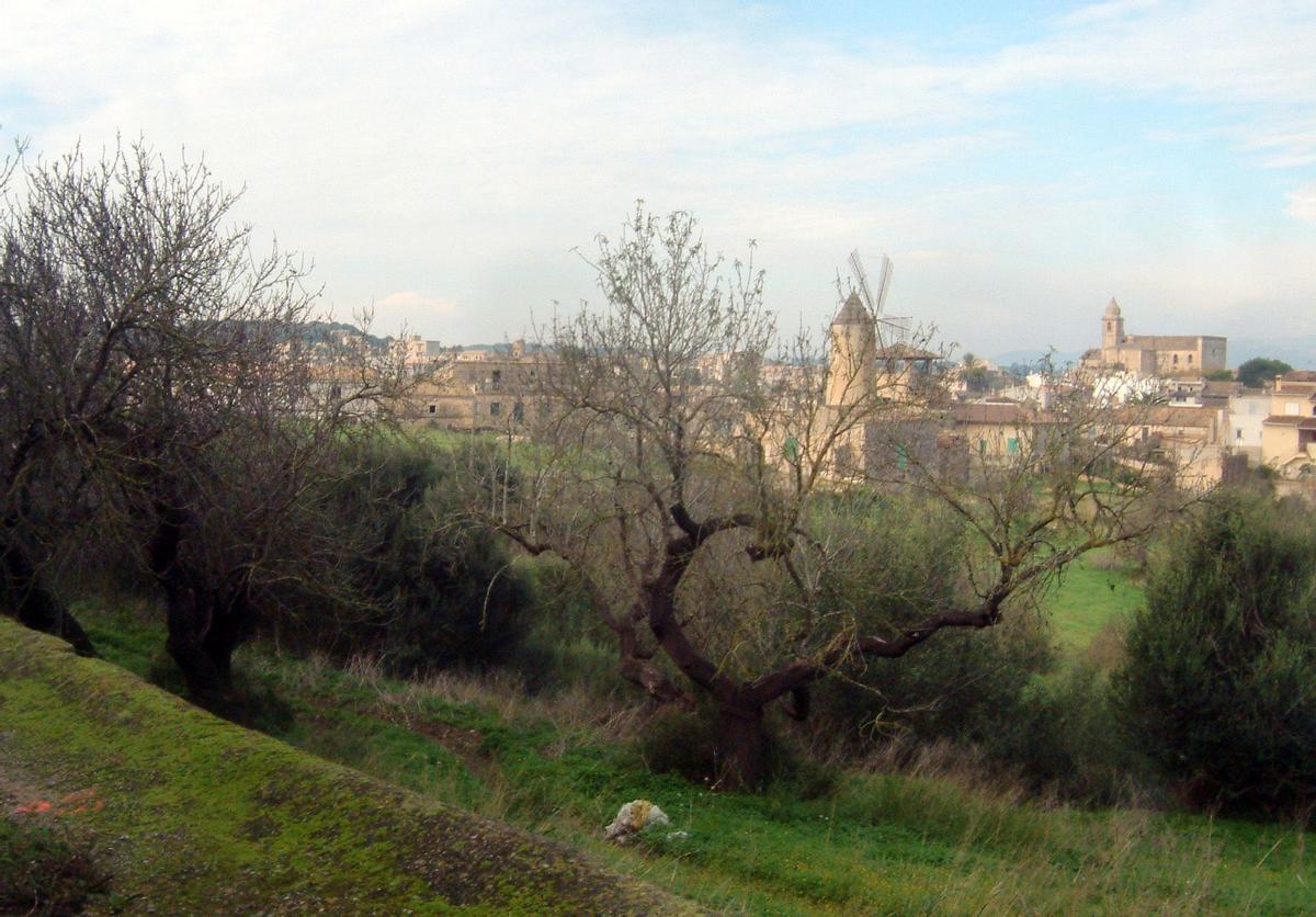 Vista del casco urbano de Maria de la Salut desde el entorno agrícola de la localidad del Pla.