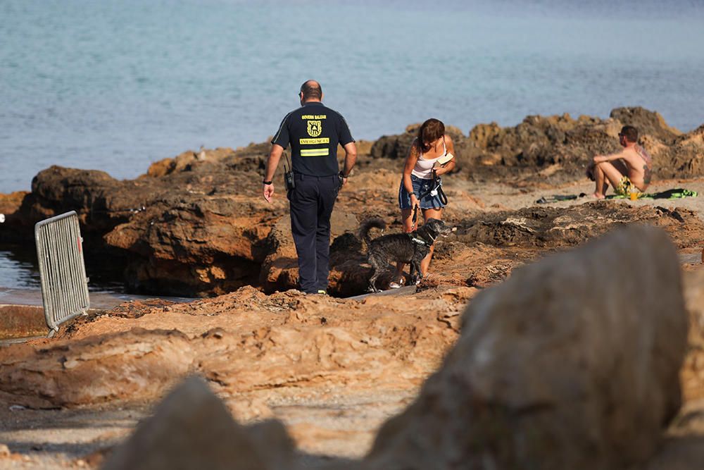 Frustrado el primer intento de sacar el 'Harmonya' de es Caló des Moro