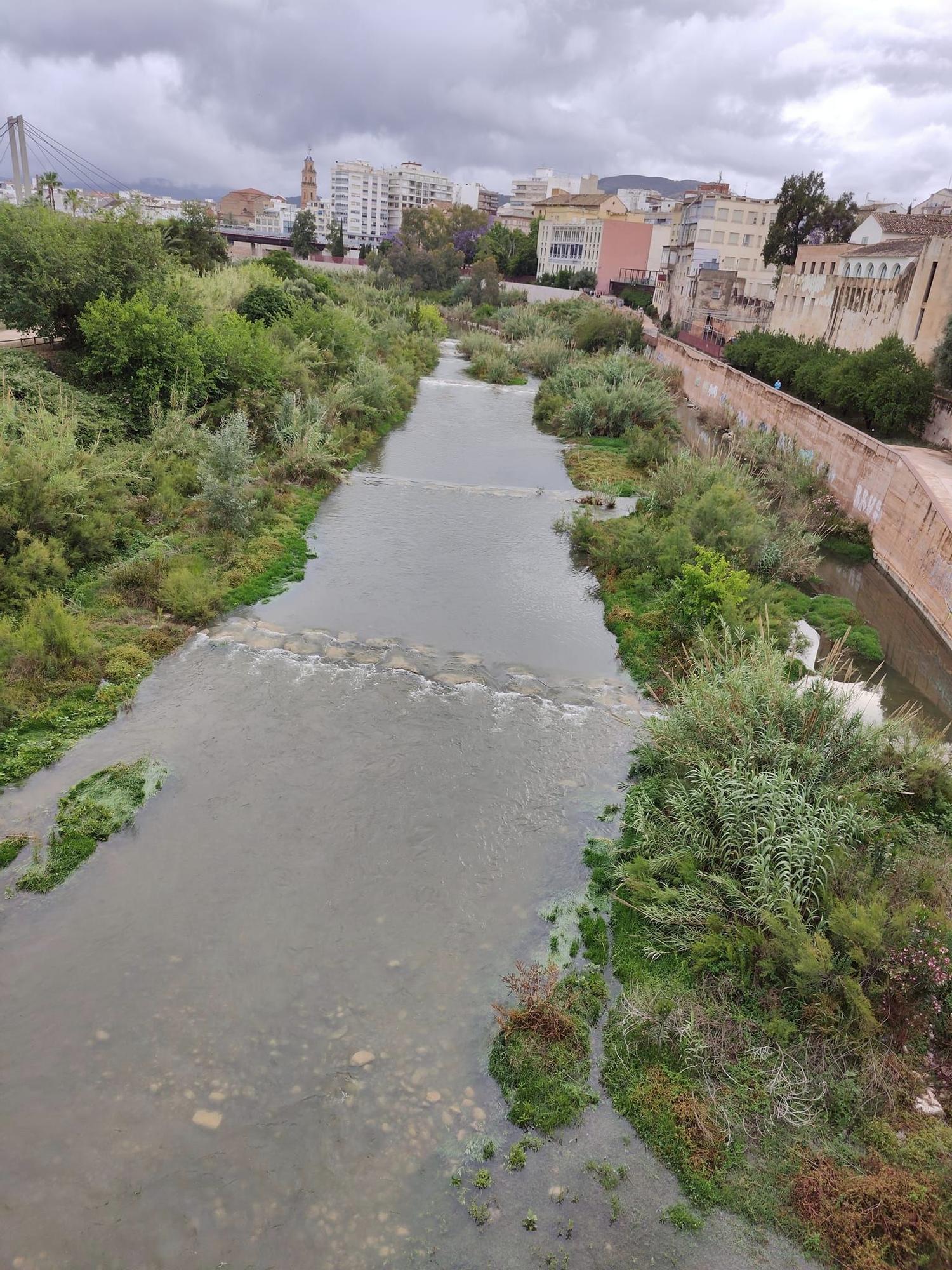 Así baja el río Serpis en Gandia tras las intensas lluvias