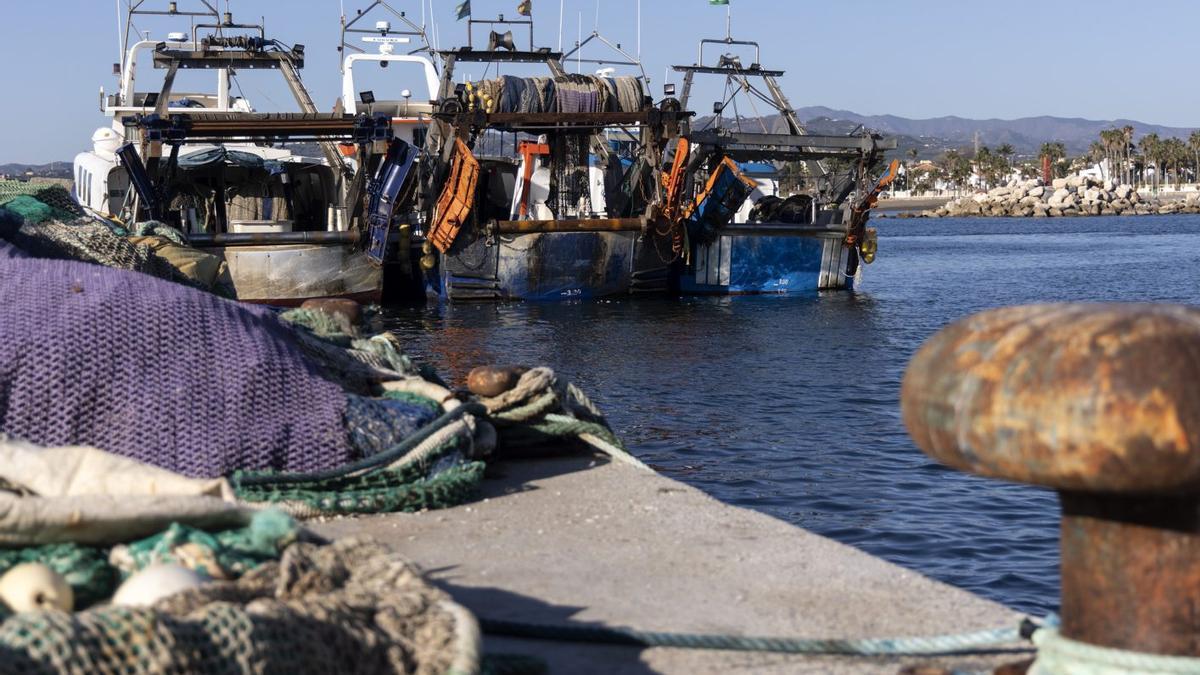 Varias embarcaciones en Caleta de Vélez, principal puerto pesquero del Mediterráneo andaluz.