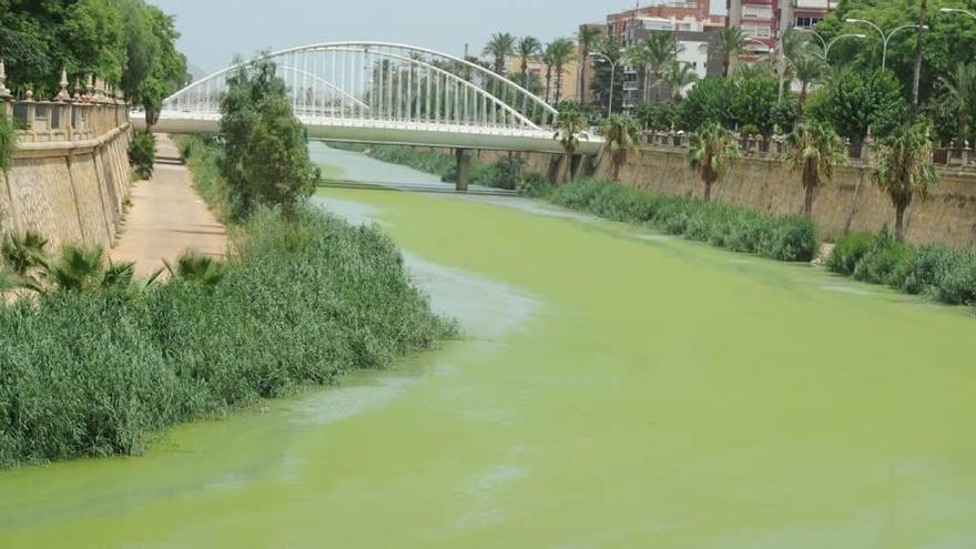 Imagen del tramo urbano del río Segura que atraviesa la ciudad de Murcia.