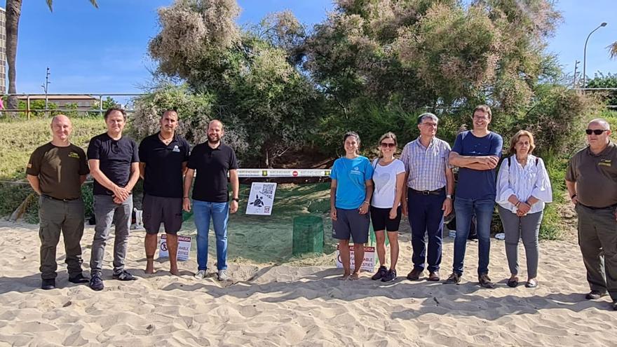 FOTOS | Una tortuga marina pone 106 huevos en la playa de Can Pere Antoni de Palma en un acontecimiento extraordinario en Mallorca