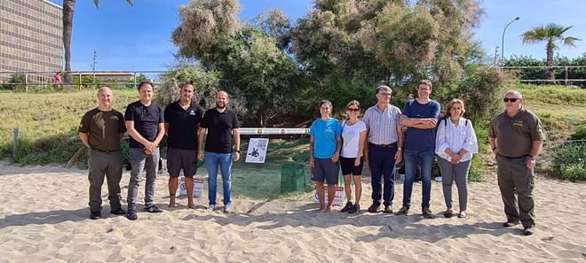 FOTOS | Una tortuga marina pone 106 huevos en la playa de Can Pere Antoni de Palma en un acontecimiento extraordinario en Mallorca