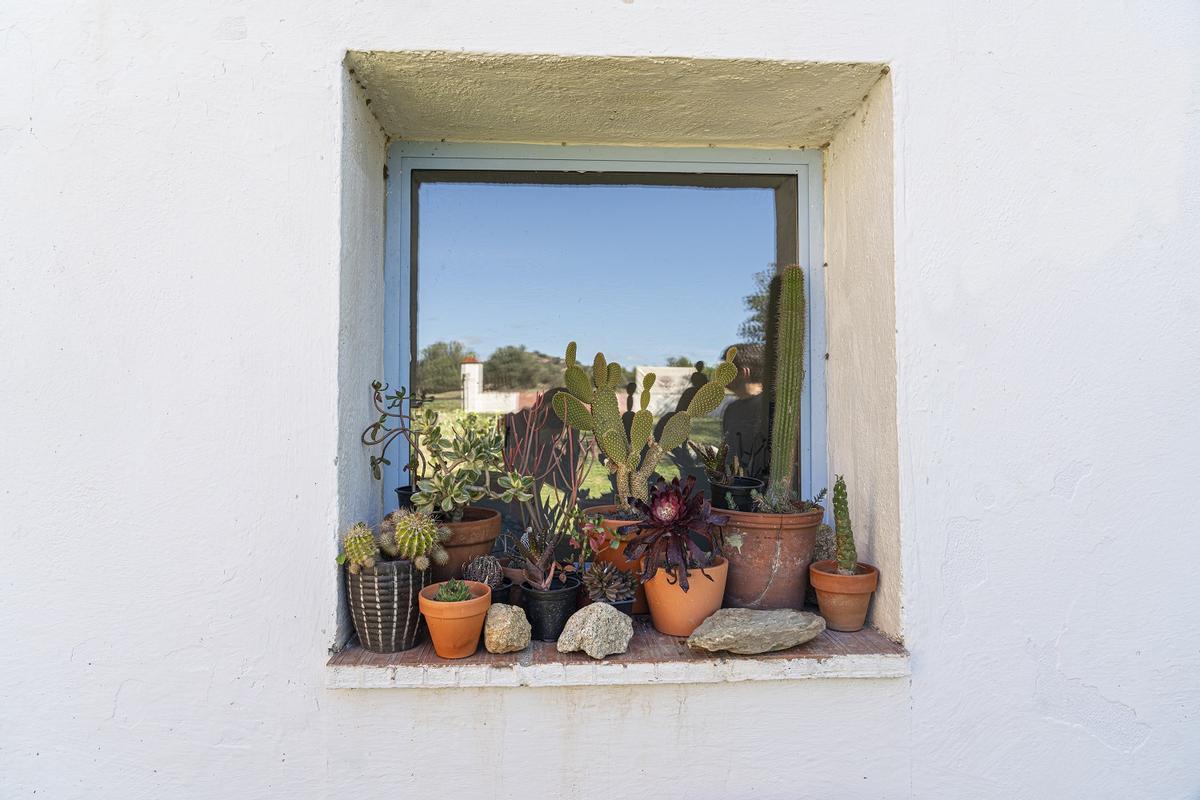 Detalle de Bravanariz, que reúne alojamiento, tienda y experiencias en la naturaleza para crear tu propio perfume.