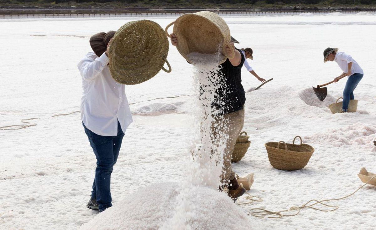 Teatralización de la cosecha manual de sal en salinas, como se realizaba hasta los años 60. | VICENT MARÍ