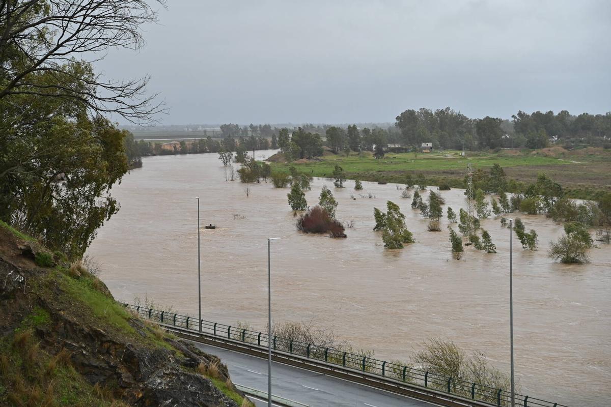 Fotogalería | Imágenes del temporal en Badajoz, este sábado