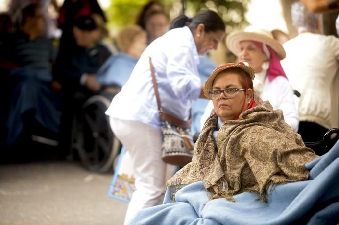 DIA DEL PINO EN EL CENTRO SOCIOSANITARIO DE EL ...