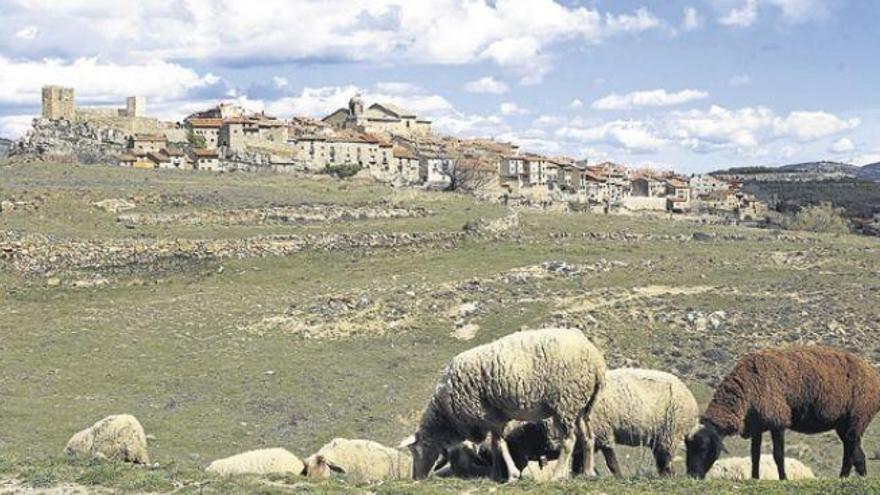 Puertomingalvo, en el lejano sureste