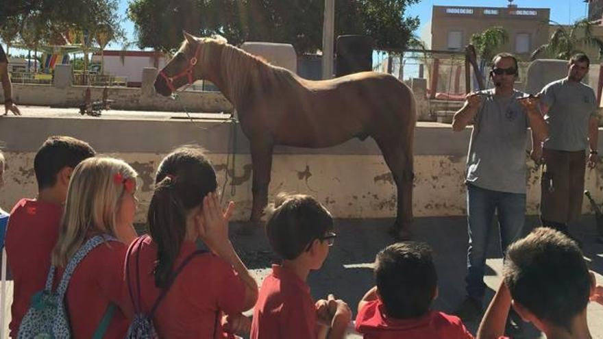 La Fira Agrícola de Nules recibe a decenas de escolares